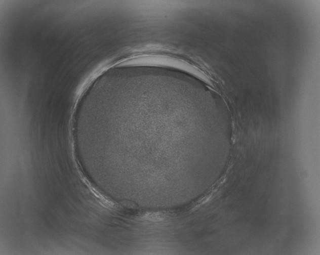 X0000056330341200509021635