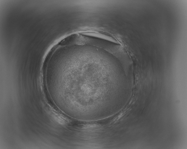 X0000056330342200509021635