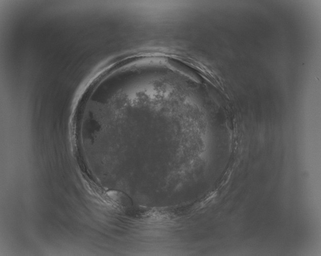 X0000056330343200509021635