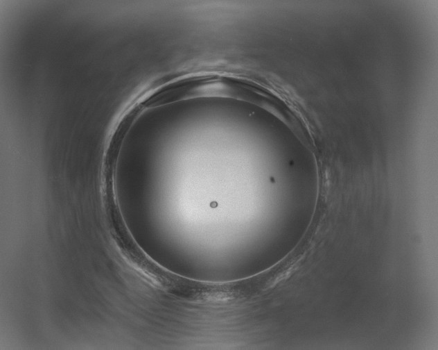 X0000056330344200509021635