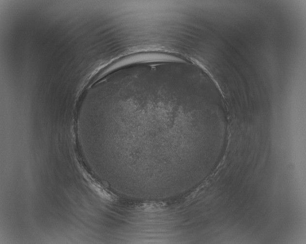 X0000056330345200509021635