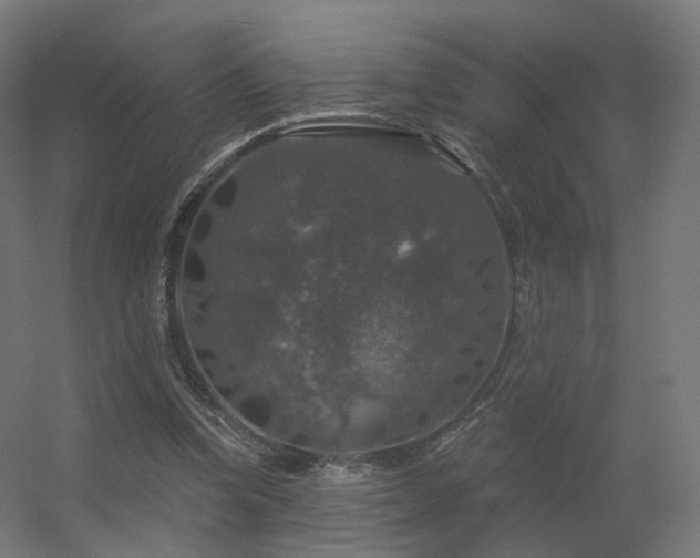 X0000056330346200509021635