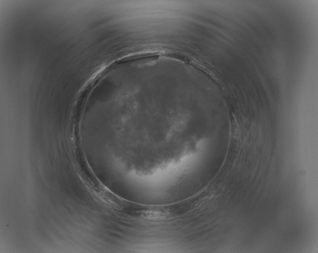 X0000056330347200509021635