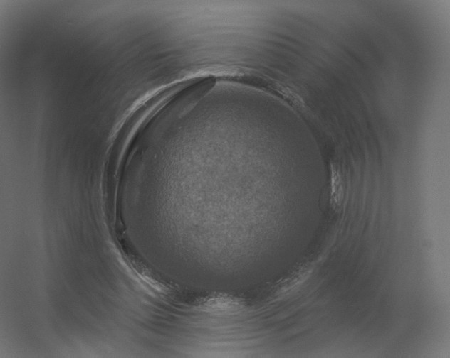 X0000056330348200509021635