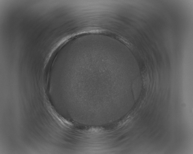 X0000056330350200509021635