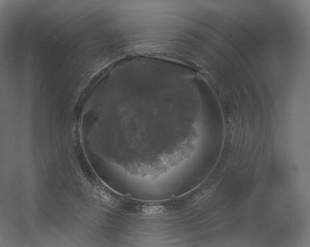 X0000056330355200509021635