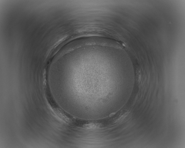 X0000056330356200509021635