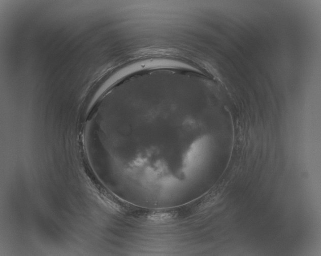 X0000056330357200509021635