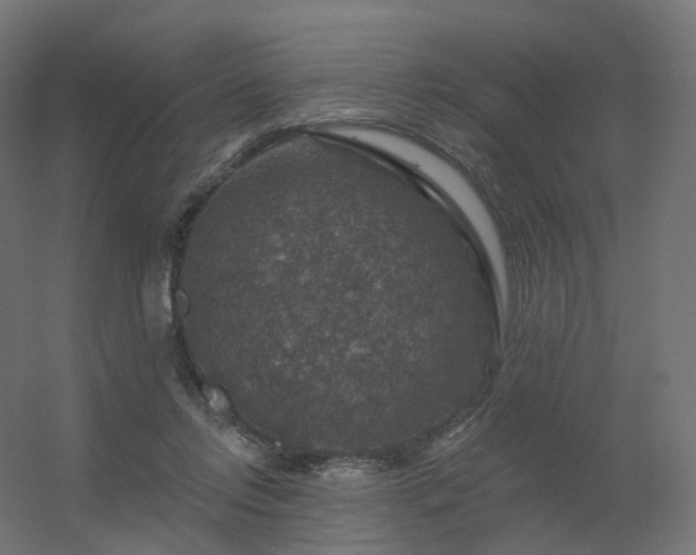 X0000056330358200509021635