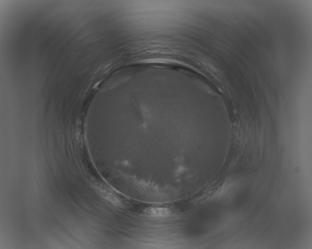 X0000056330361200509021635