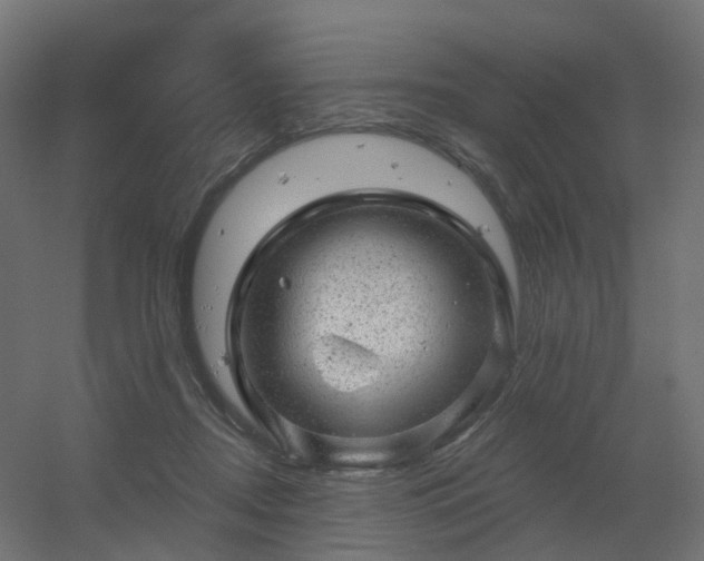 X0000056330362200509021635