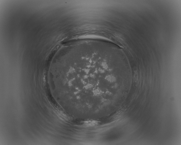 X0000056330363200509021635