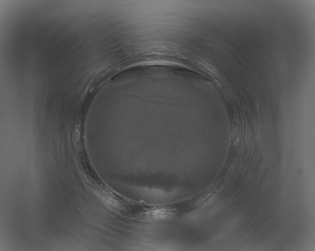 X0000056330365200509021635