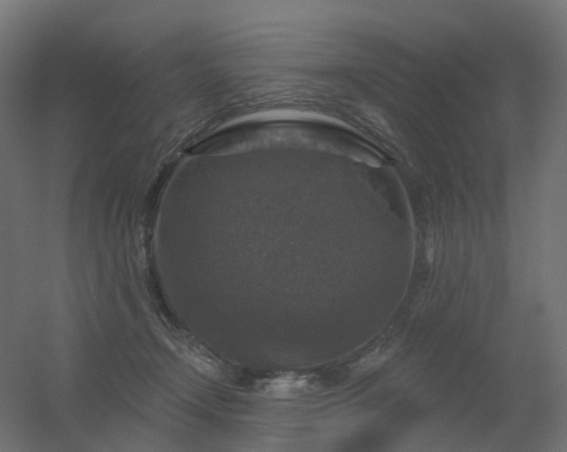 X0000056330366200509021635