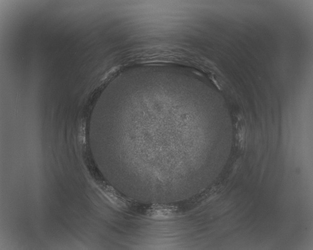 X0000056330368200509021635