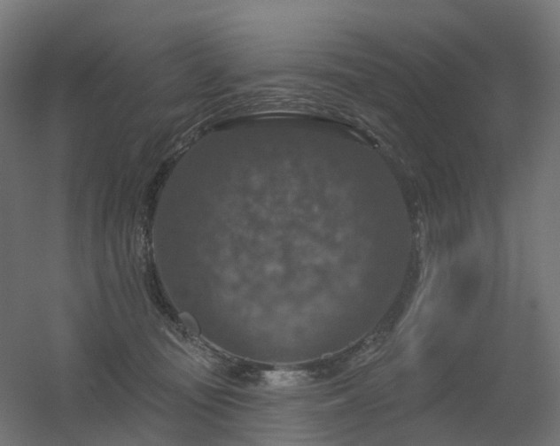 X0000056330371200509021635