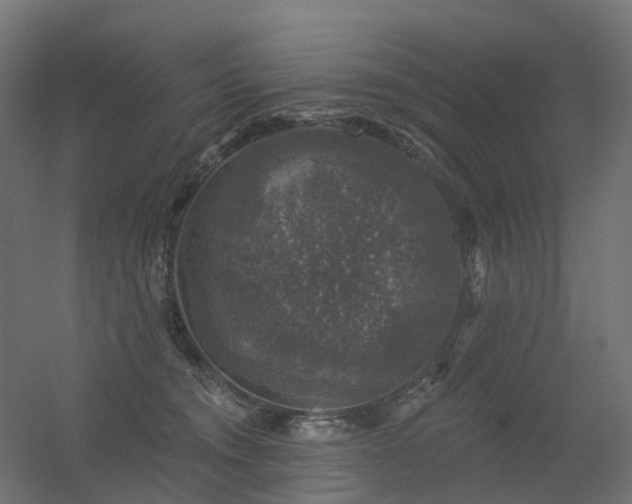 X0000056330372200509021635