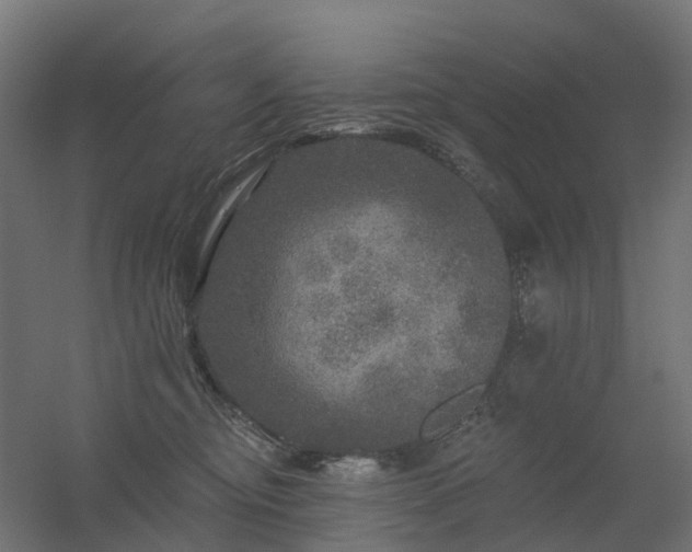 X0000056330374200509021636