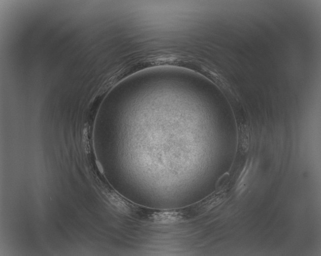 X0000056330378200509021636