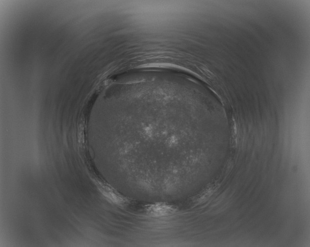 X0000056330379200509021636