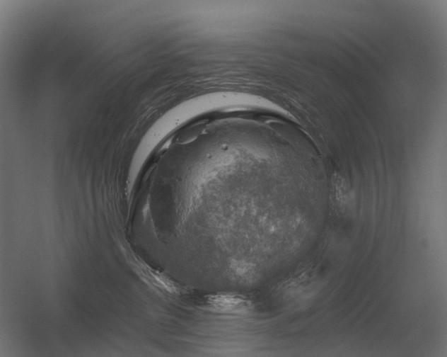 X0000056330380200509021636