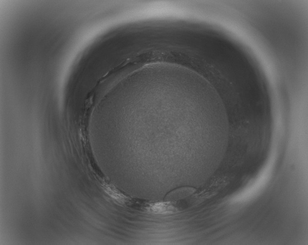 X0000056330382200509021636