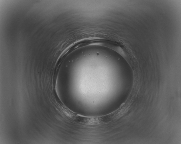 X0000056330384200509021636