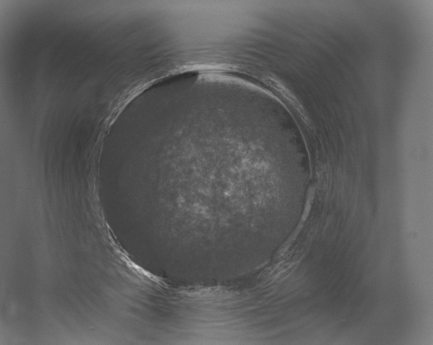 X0000056330385200509021635