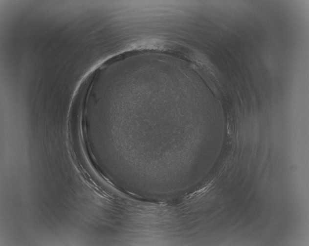 X0000056330388200509021635