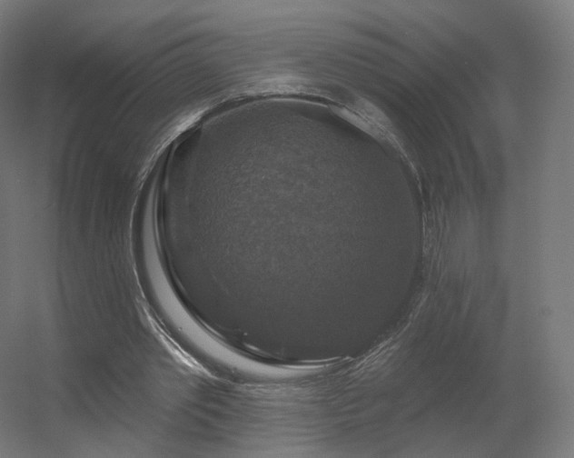 X0000056330389200509021635