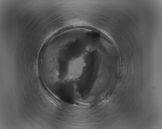 X0000056330391200509021635