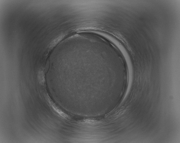 X0000056330393200509021635