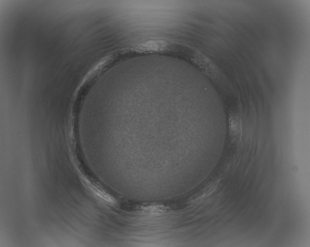 X0000056330396200509021635