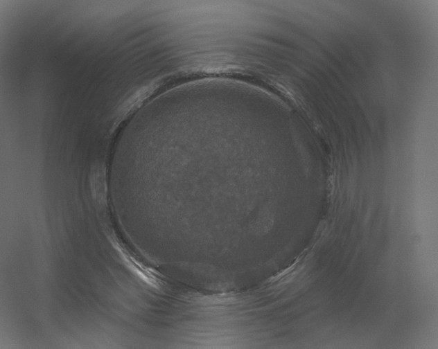 X0000056330397200509021635