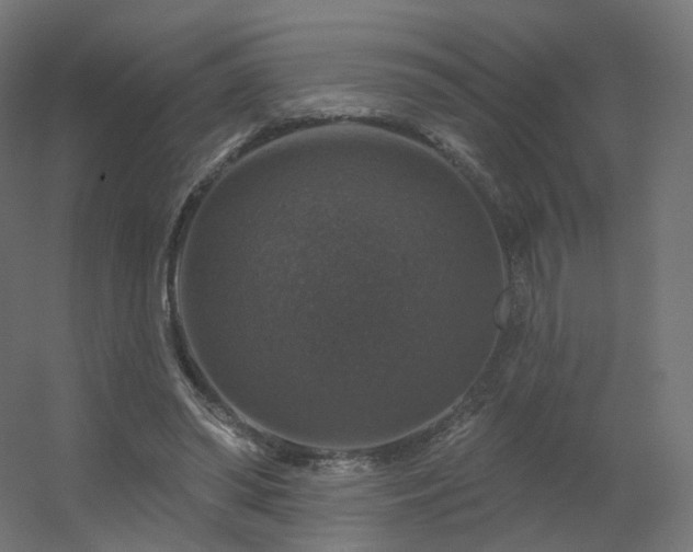 X0000056330398200509021635