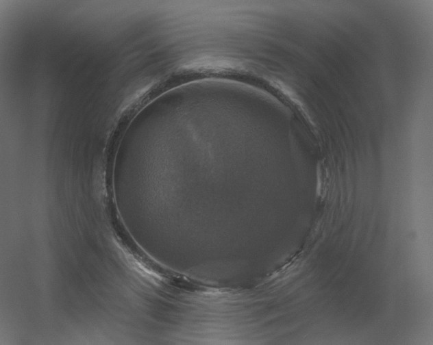 X0000056330399200509021635