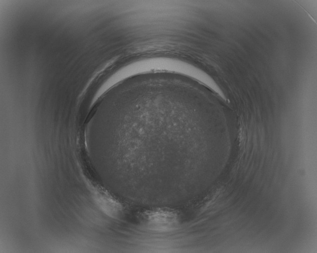 X0000056330400200509021635