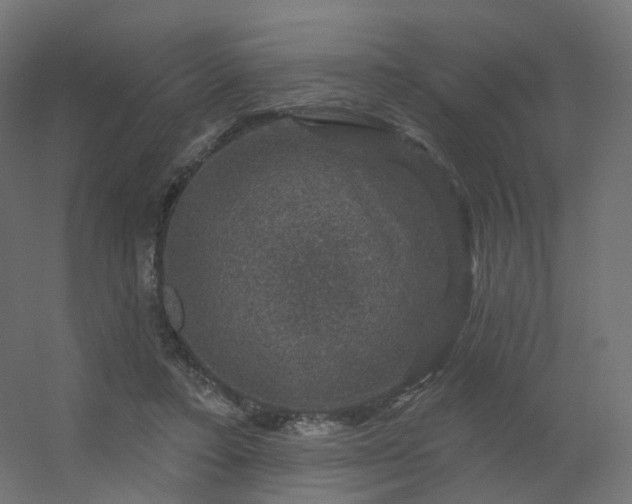 X0000056330403200509021635