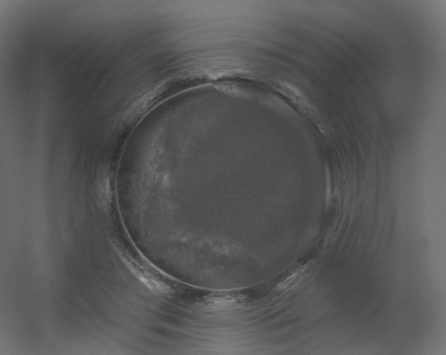 X0000056330405200509021635