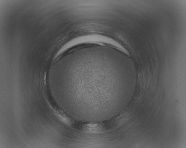 X0000056330406200509021635