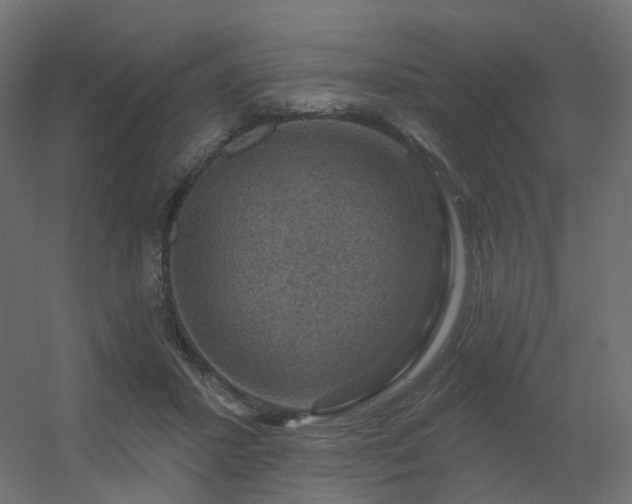 X0000056330407200509021634