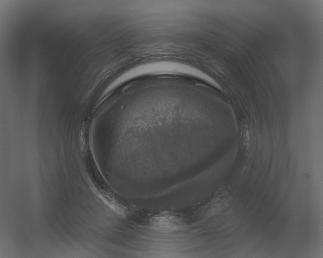 X0000056330408200509021634