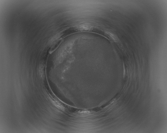 X0000056330409200509021634