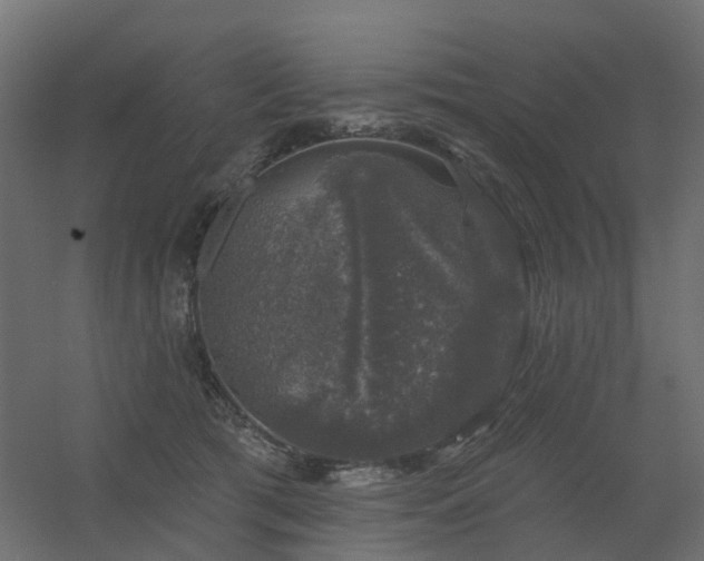 X0000056330417200509021634