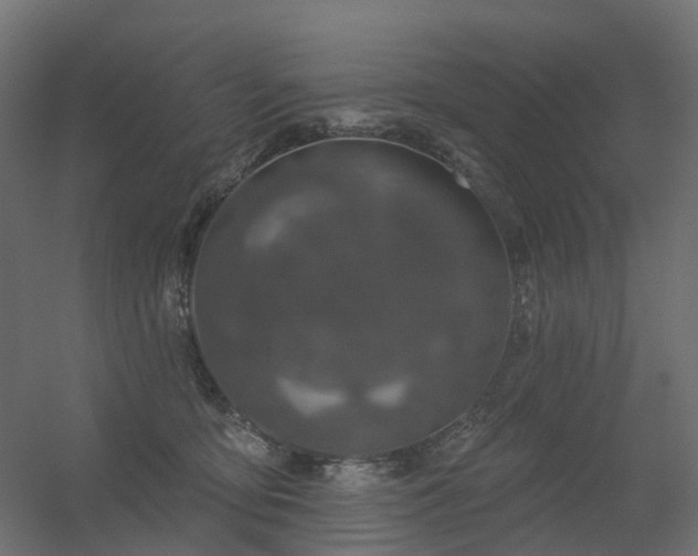 X0000056330419200509021634