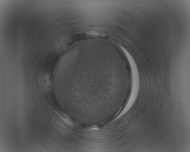 X0000056330420200509021634