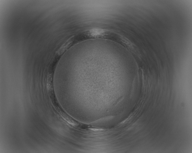 X0000056330421200509021634