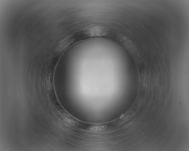 X0000056330422200509021634