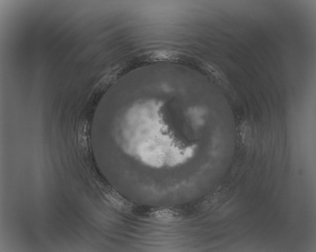 X0000056330423200509021634