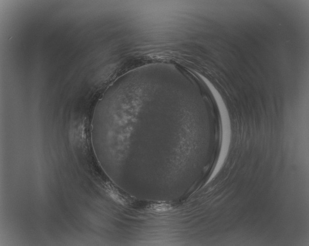 X0000056330424200509021634